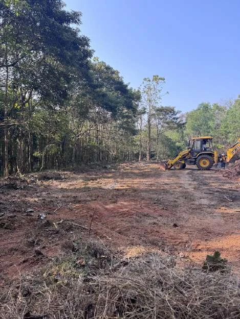 Cleared earth and trees at the project site
